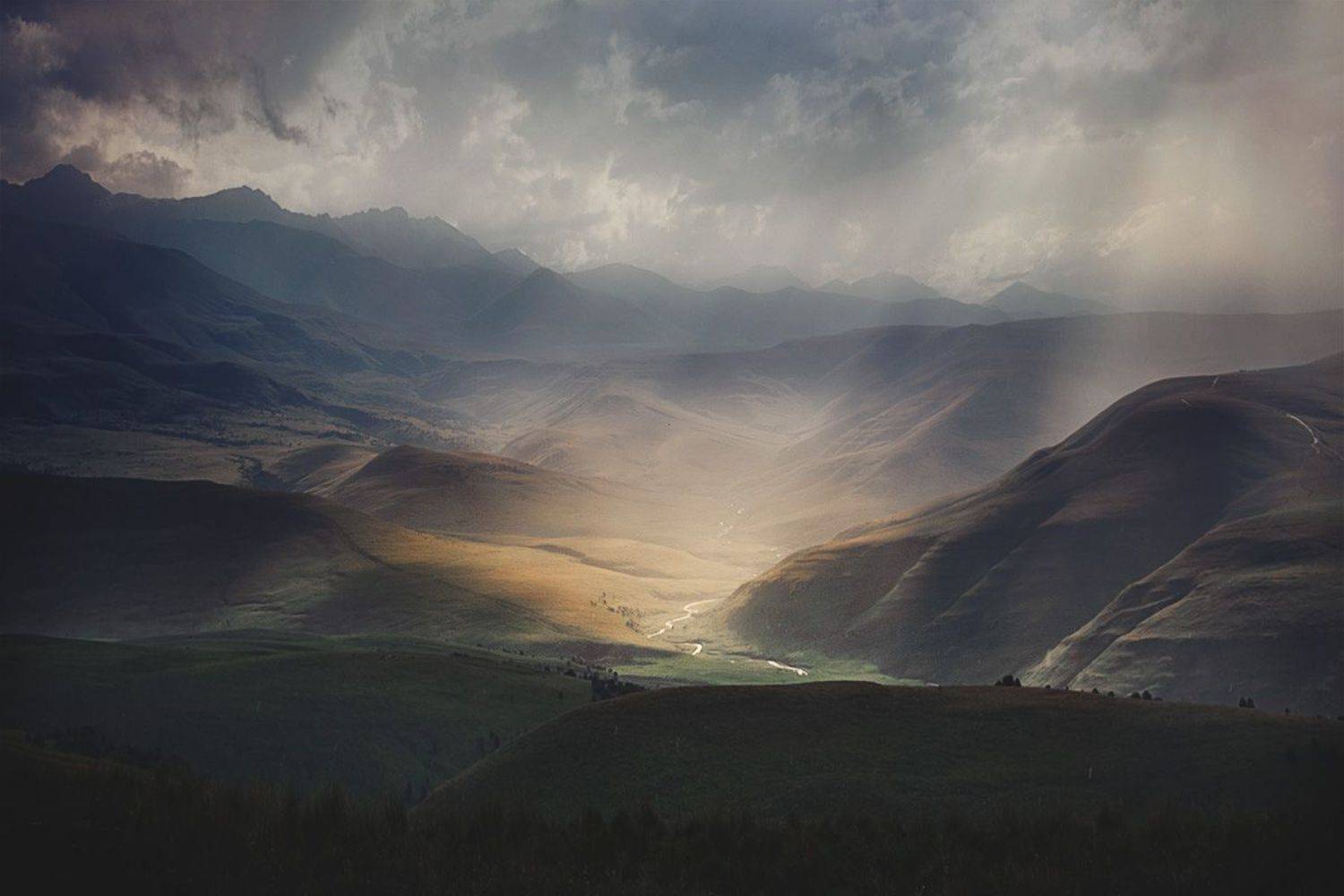 , Алиева Татьяна