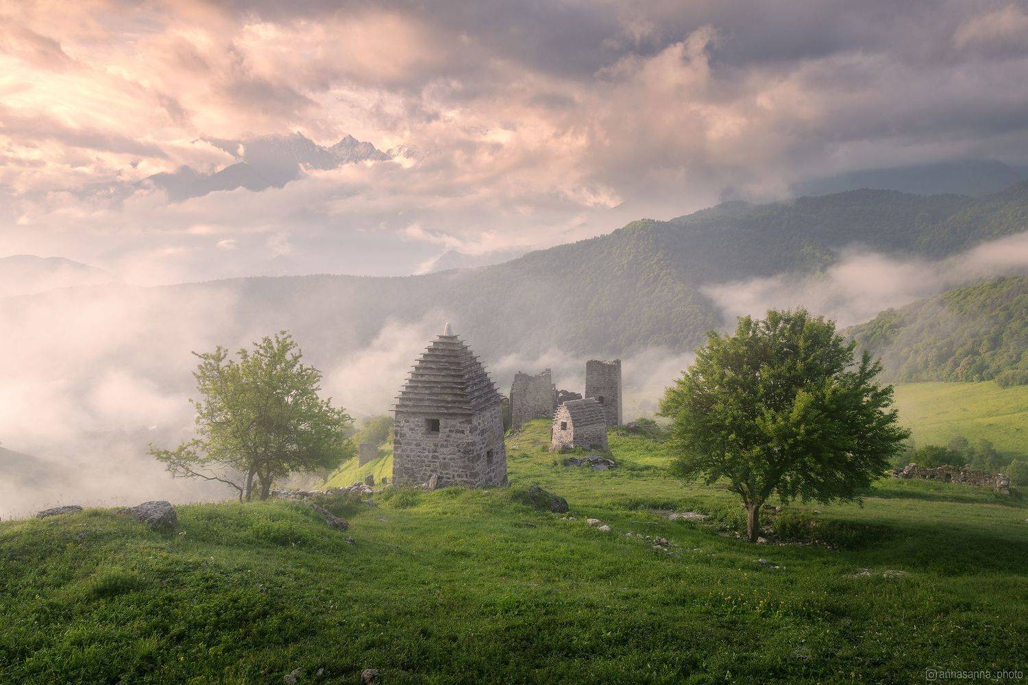 , Анна Политова