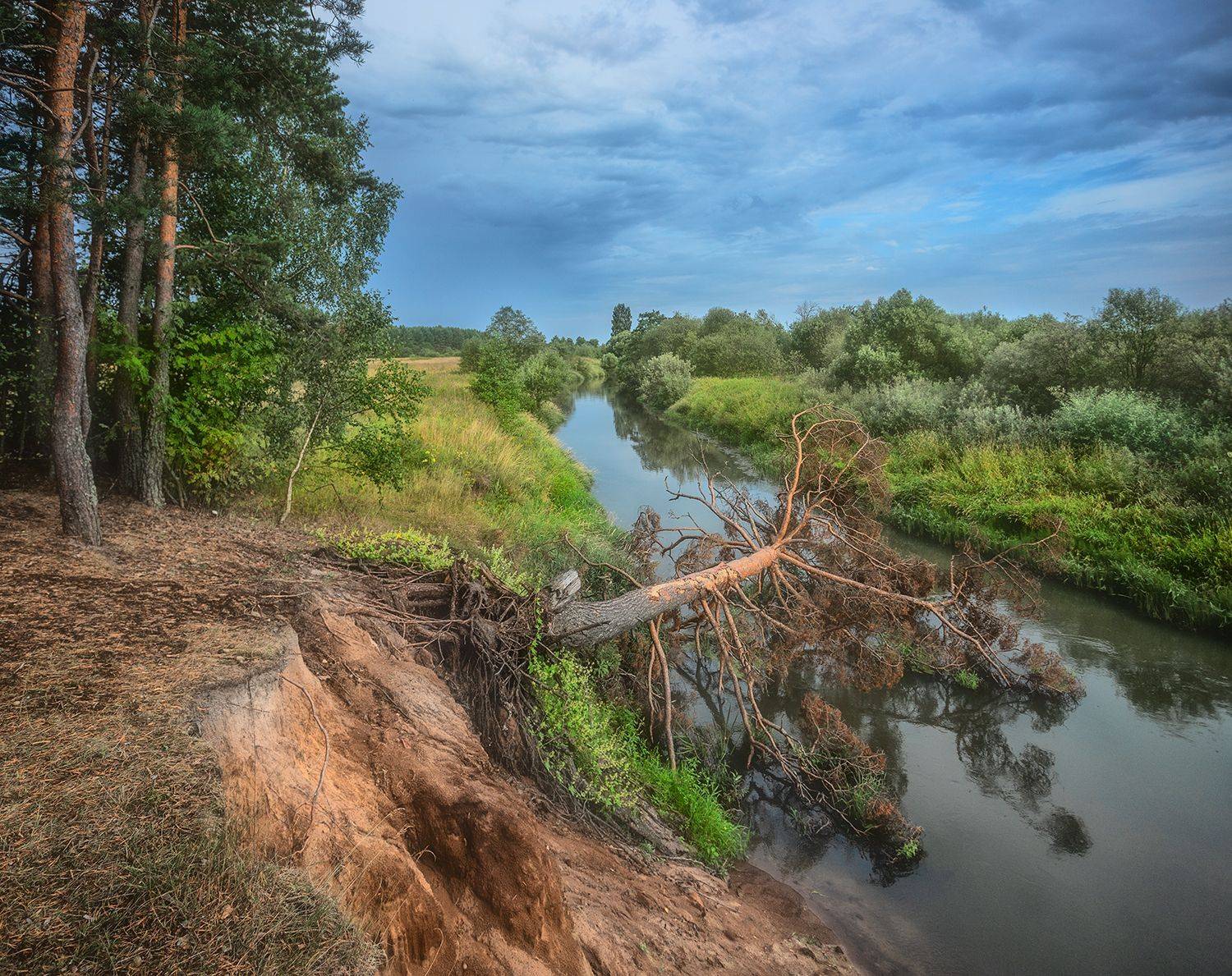 , Николай Андреев