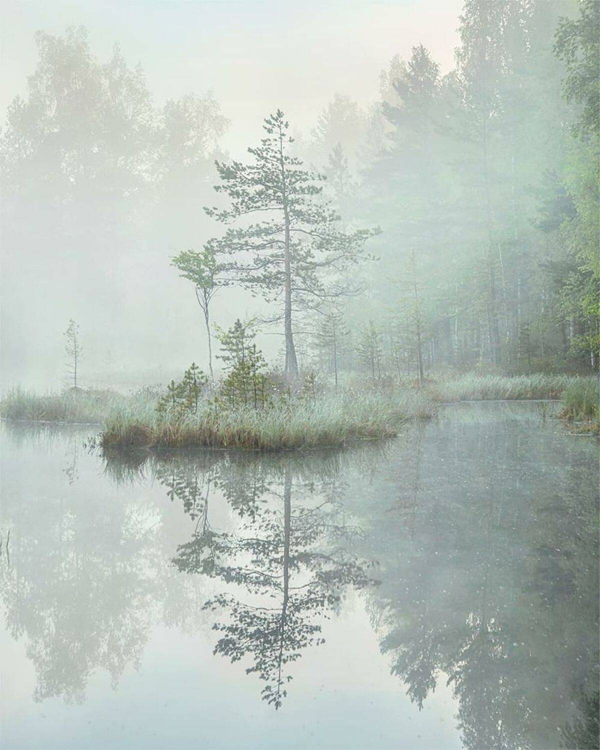 утро, туман, остров, рассвет, Петр Косых