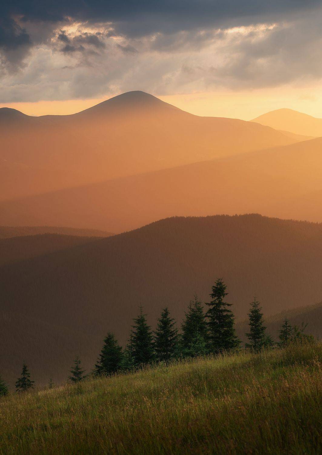 , Алексей Бойко