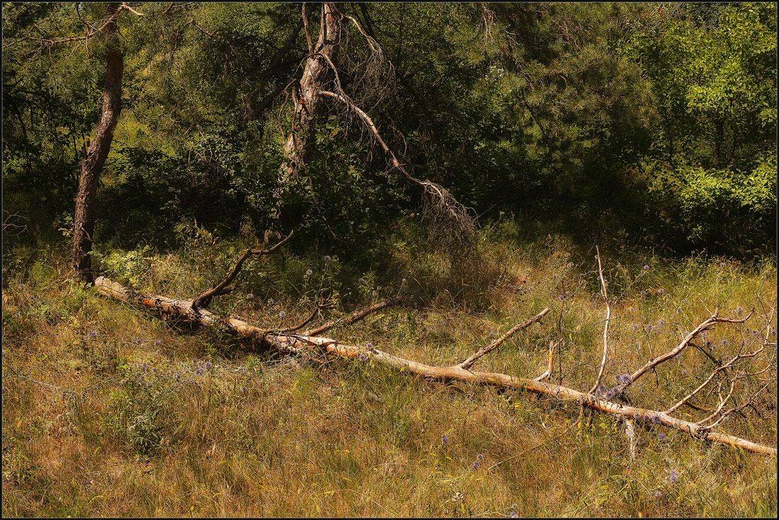 , Александр Хромеев