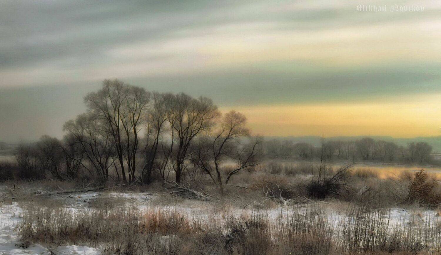 , Михаил Новиков