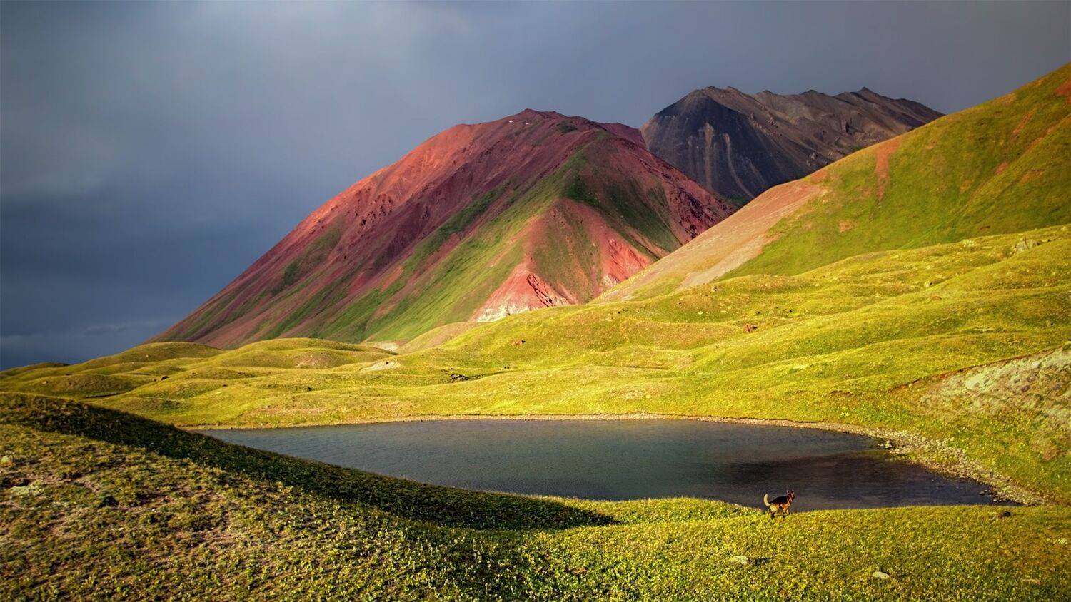 кыргызстан, горы, памиро-алай, пик ленина (7134m), Элина Магалимова