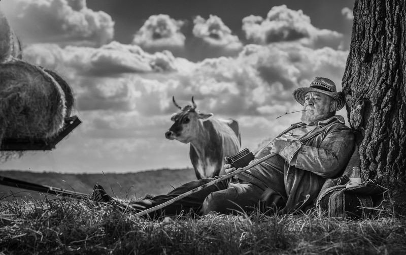 Idyll фото превью