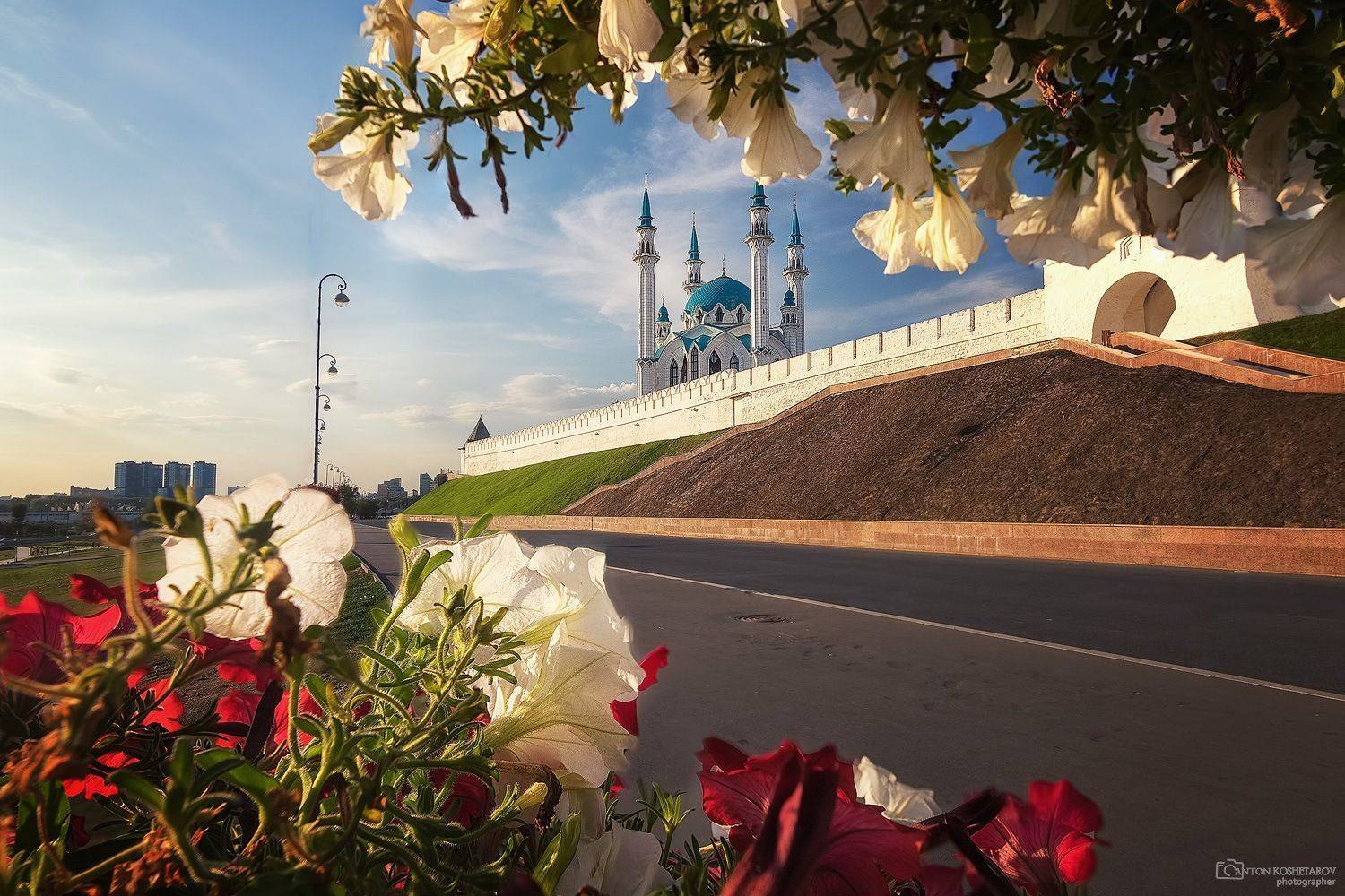 , Антон Кошетаров