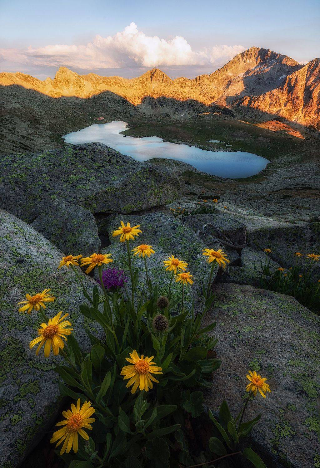 , Костадин Маджаров