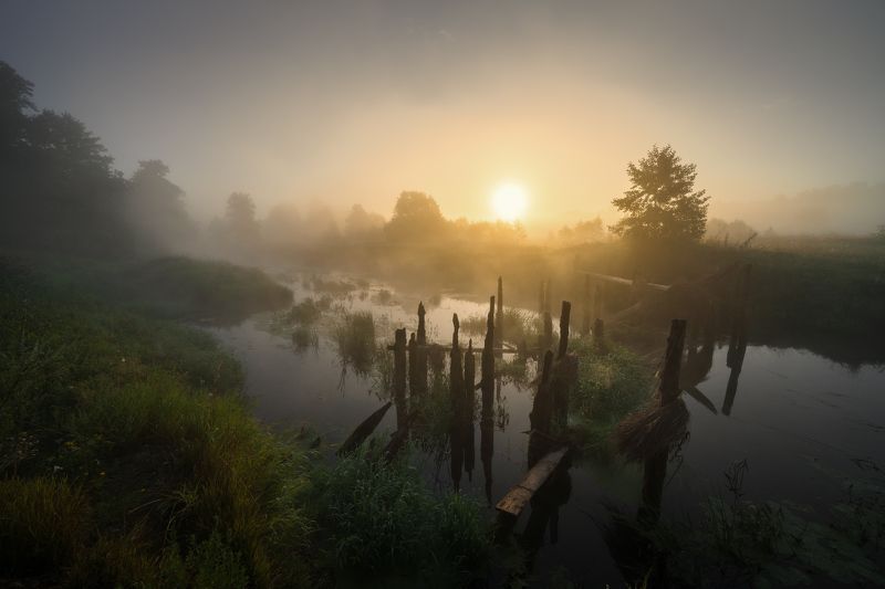 Остатки деревянного моста на Судогде фото превью