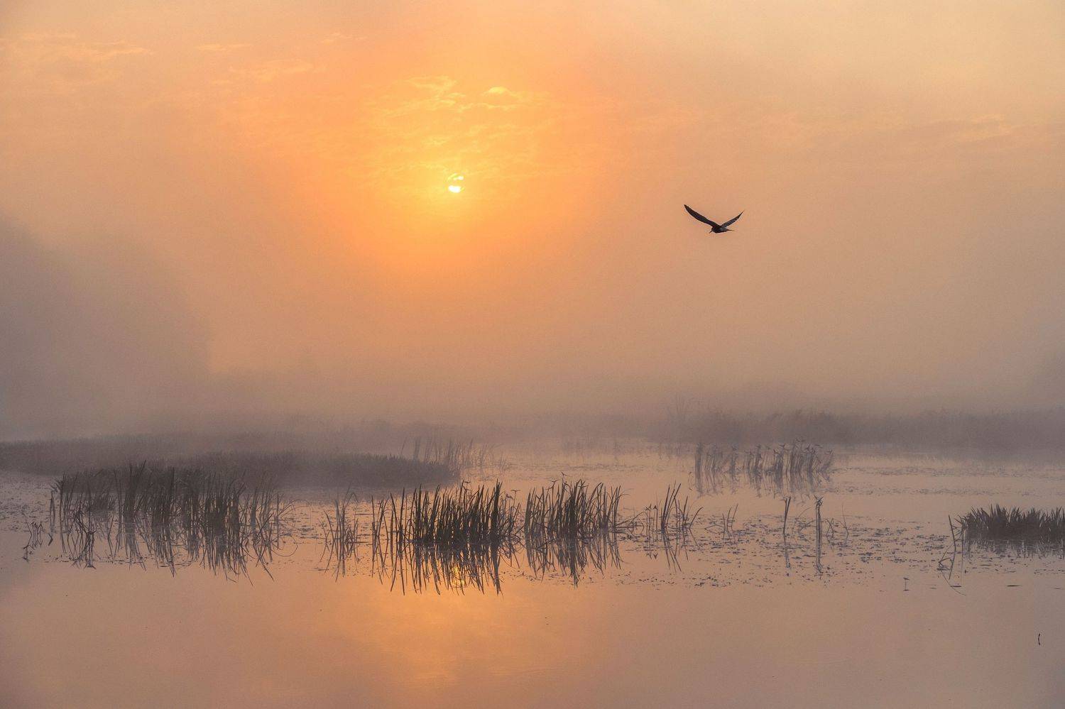 , Екатерина