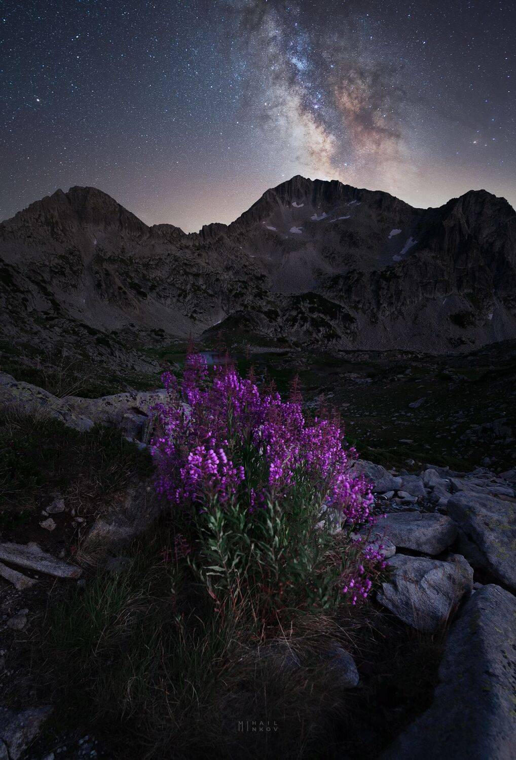 , Михаил Минков