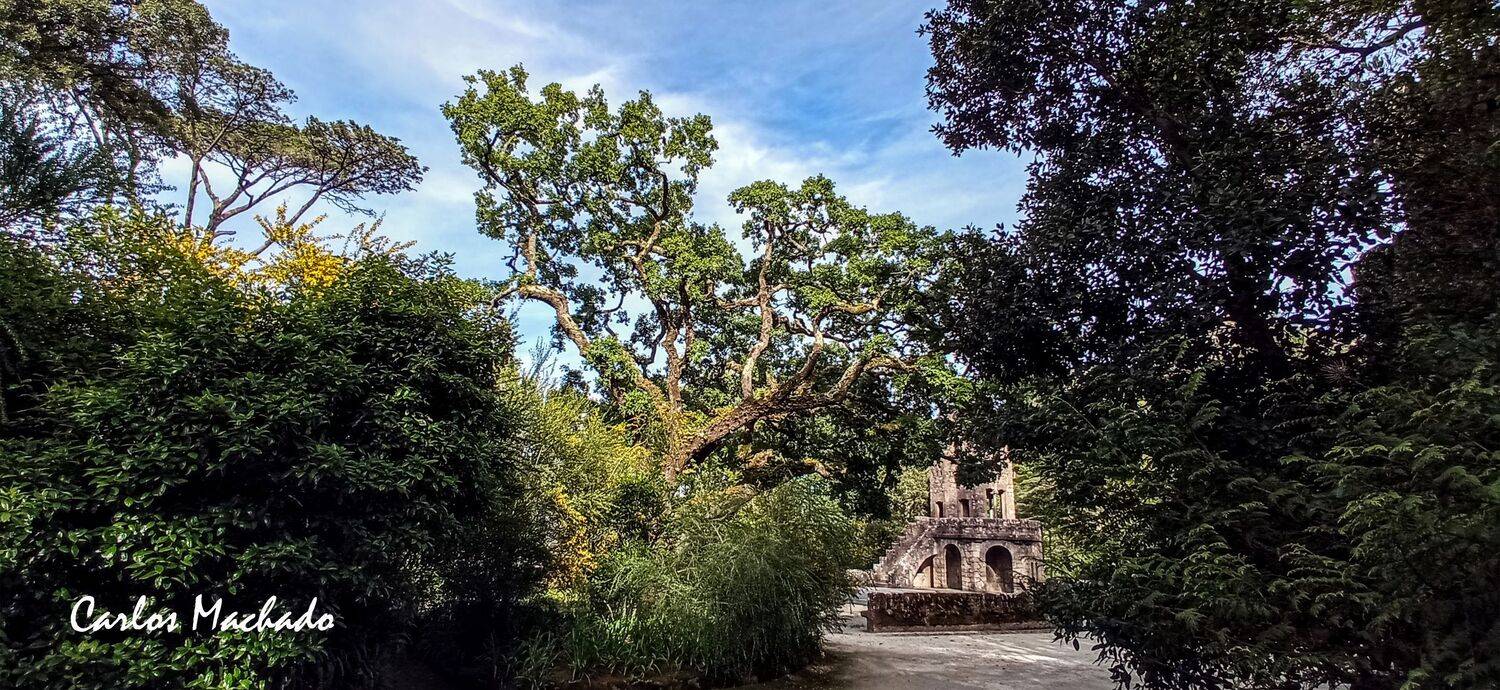 Street, Reportage, City, , Carlos Machado
