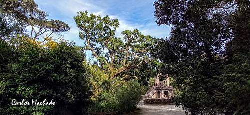 Sintra - Regaleira Gardens