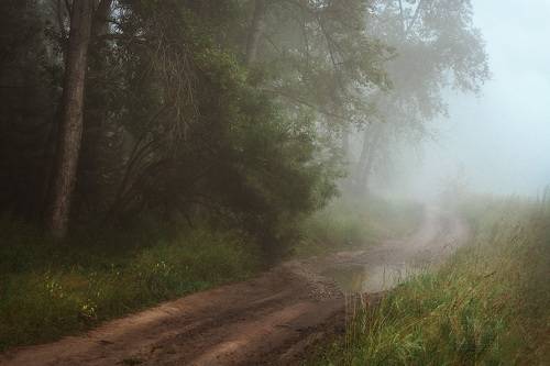 Синий туман