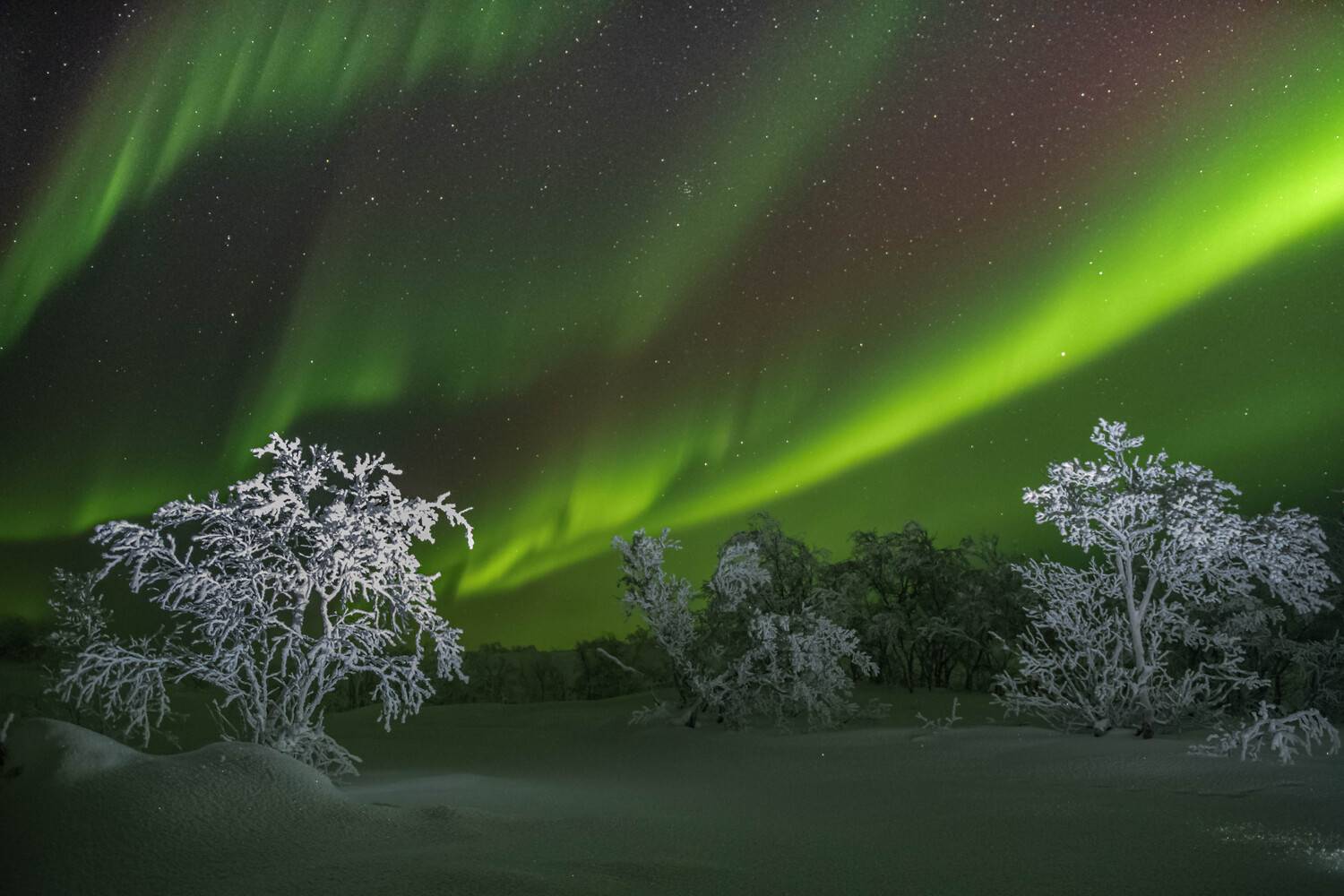 Ночь, Северное сияние, Кольский полуостров, полярная ночь, Sergey Kaverin