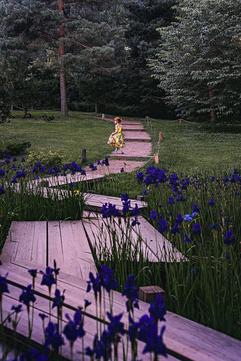 , Дарья Шевченко