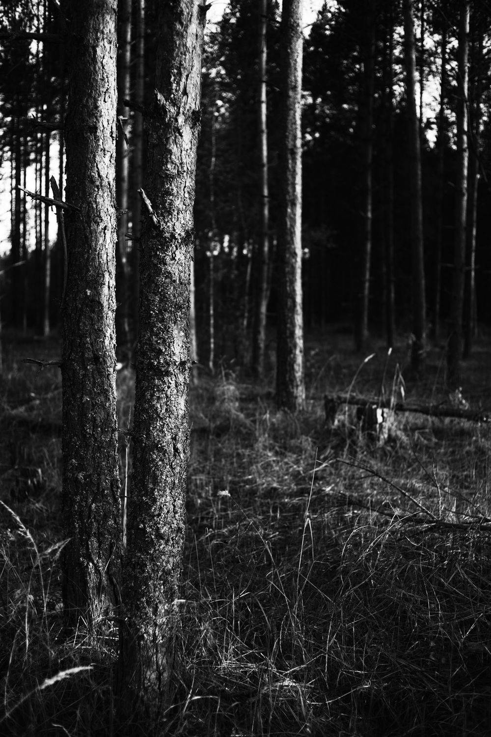 , Алексей Егоров