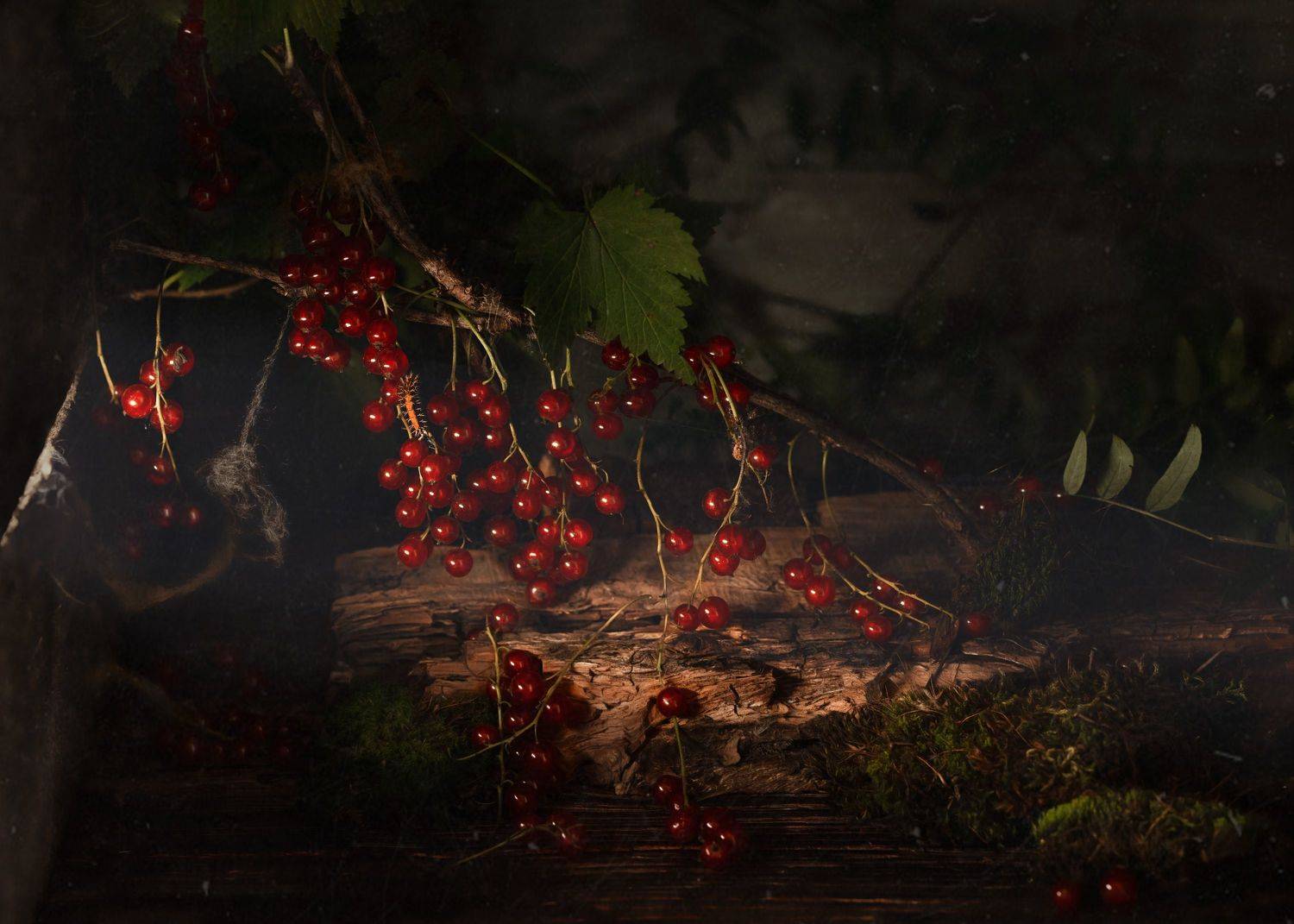 , Наталия Поникарова