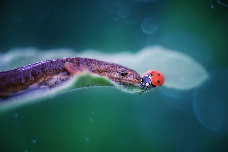 Обними меня покрепче фото превью