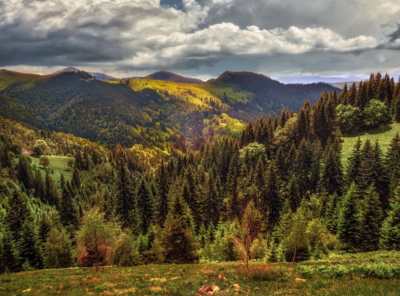 Карпаты фото превью