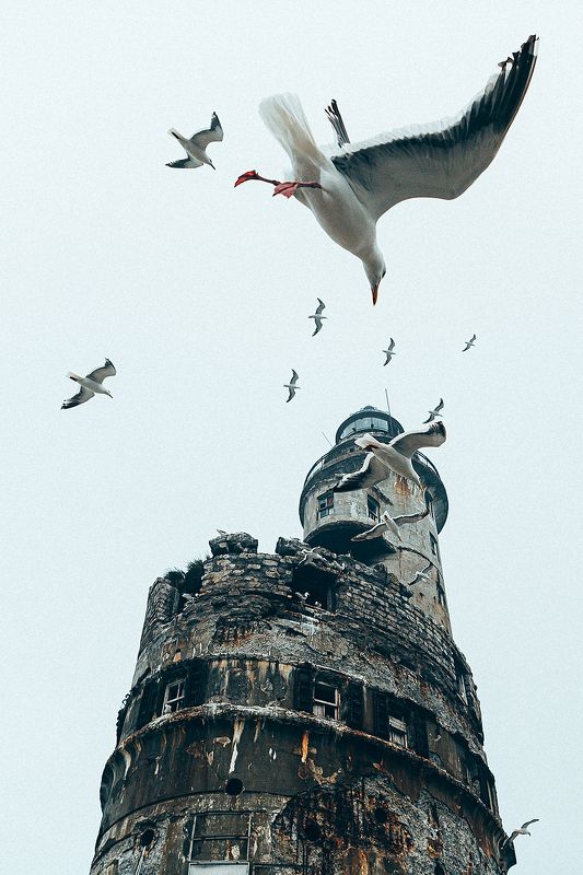 nikon, сахалин, анива, маяк Маяк Анива фото превью