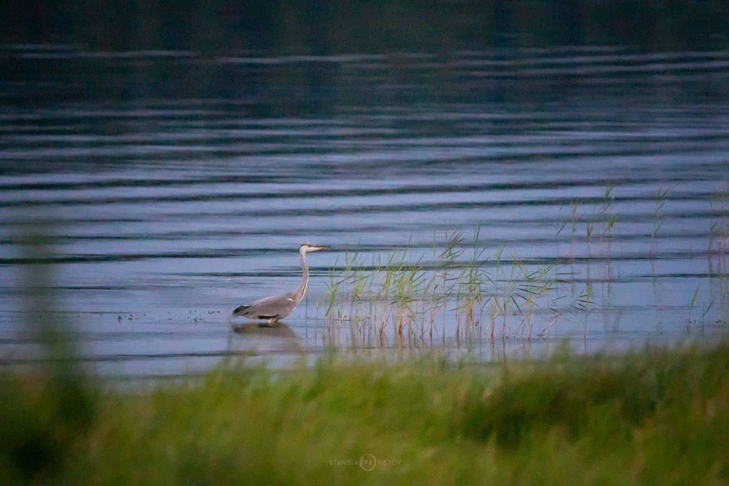 , Станислав Аристов