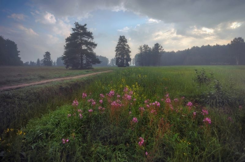павловскийпарк, павловск. павловский Павловский. . . фото превью