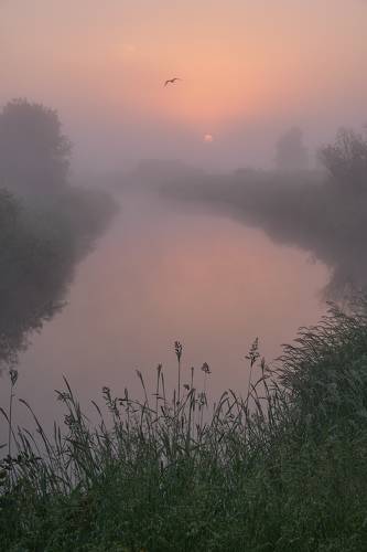 Утро на реке