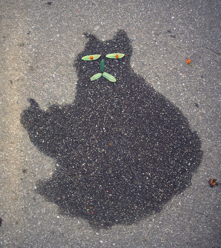 Рябиновый кот фото превью