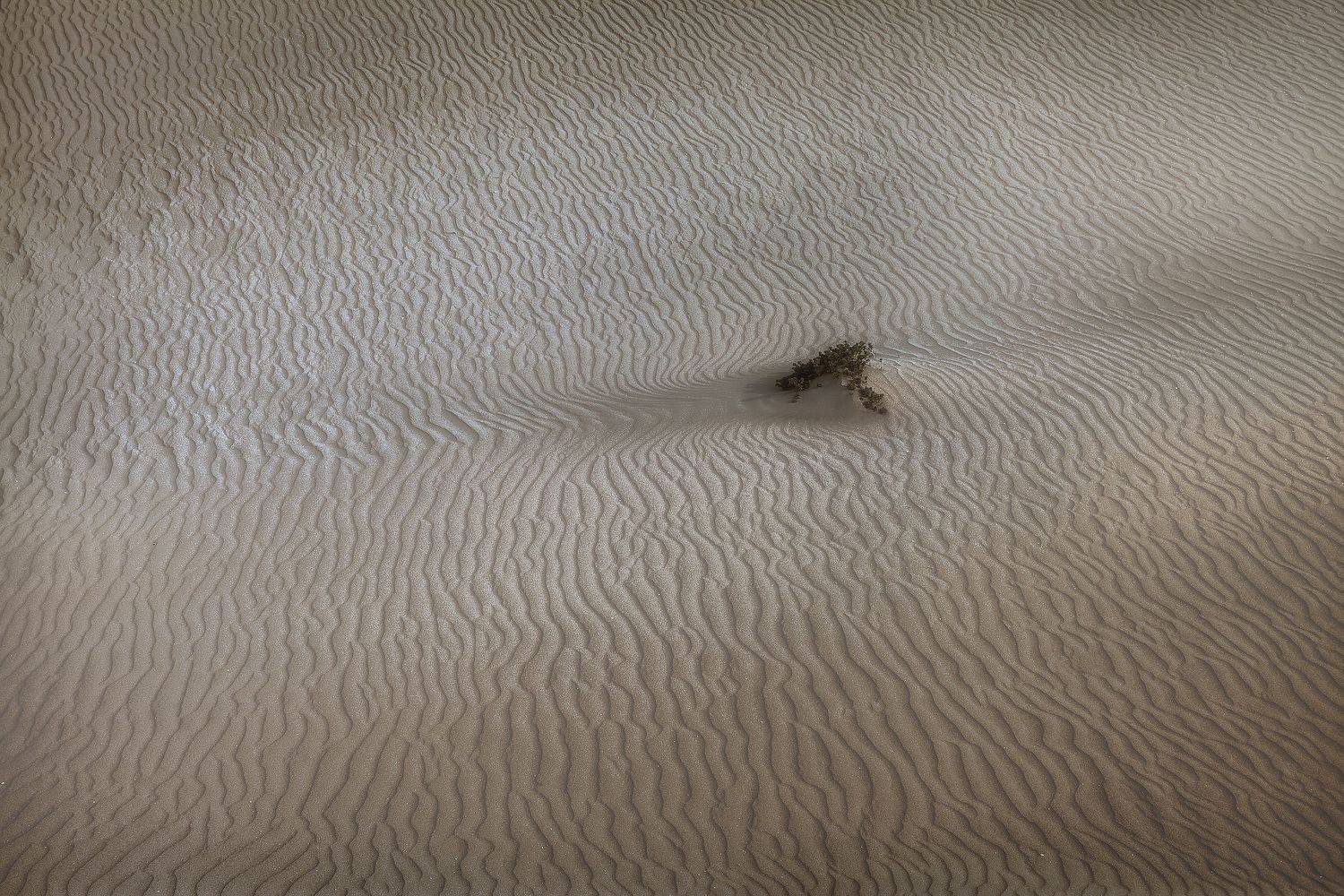 пустыня, марокко, путешествие, сахара, песок, лето, пейзаж, Анастасия Колесникова