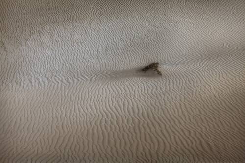 Фактура пустыни