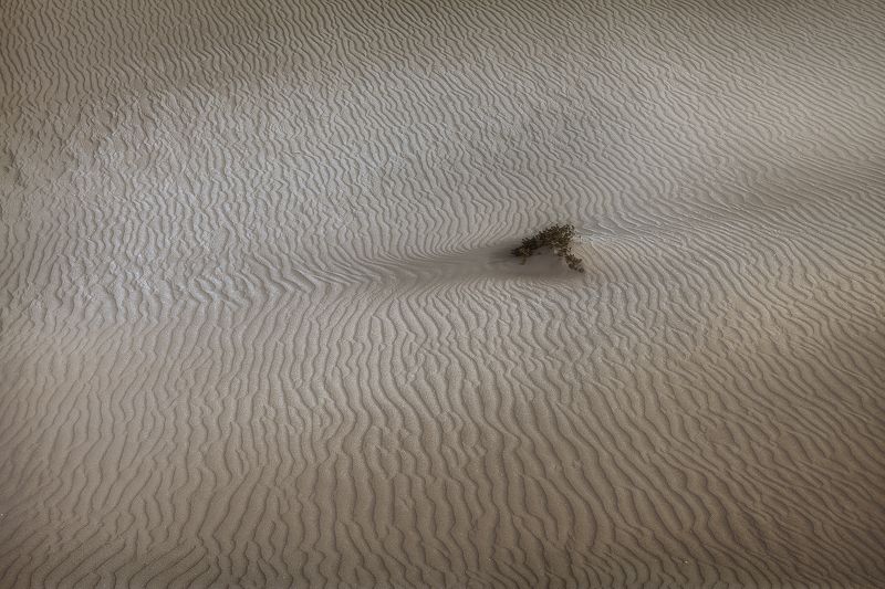 пустыня, марокко, путешествие, сахара, песок, лето, пейзаж Фактура пустыни фото превью