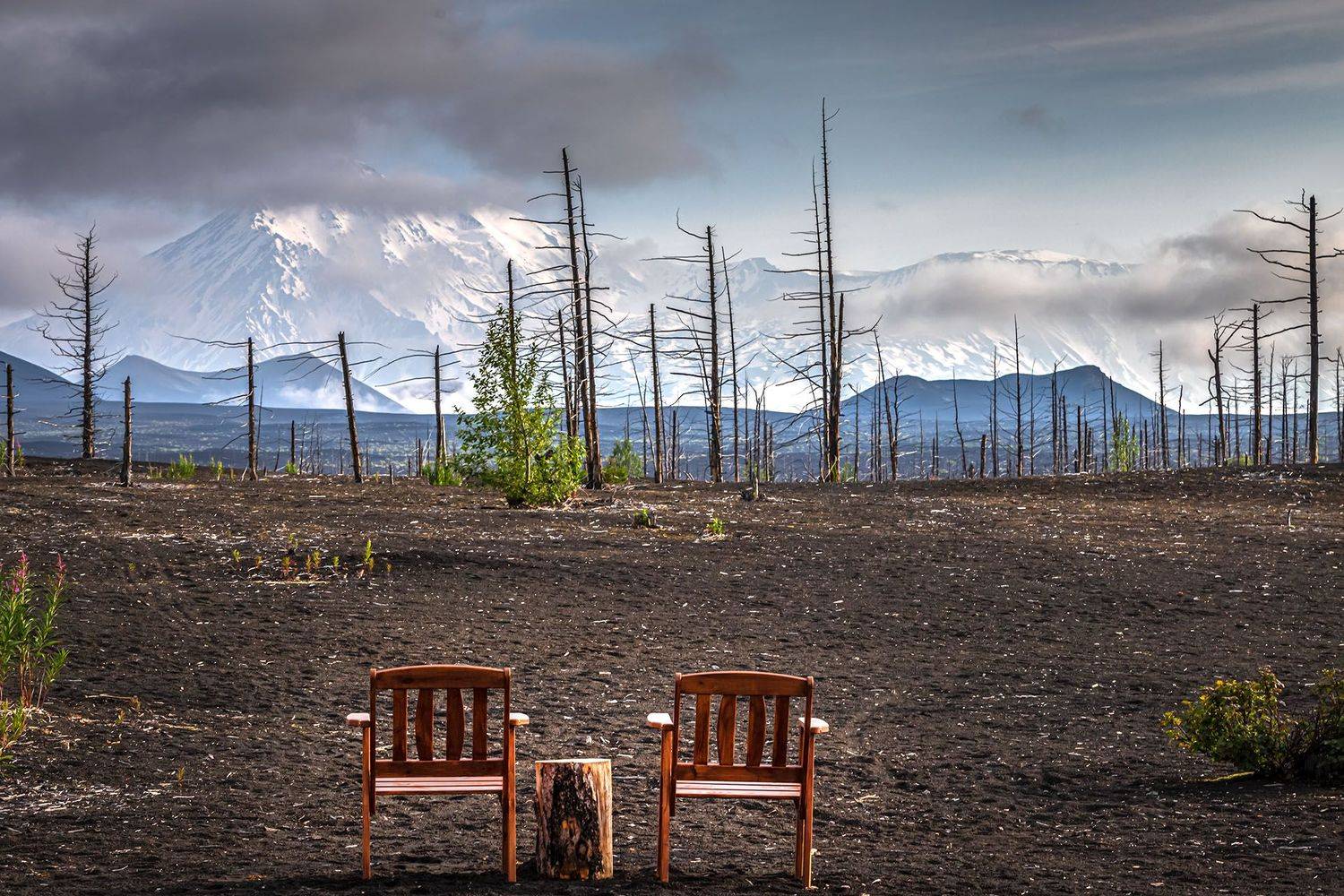 , Елена Маковоз