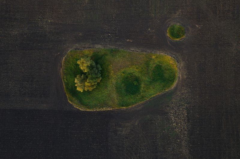 бактерия  фото превью