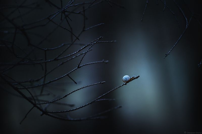 адвайта, духовный поиск, самоисследование, пробуждение, просветление, нисаргадатта махарадж, Тёмный ретрит фото превью