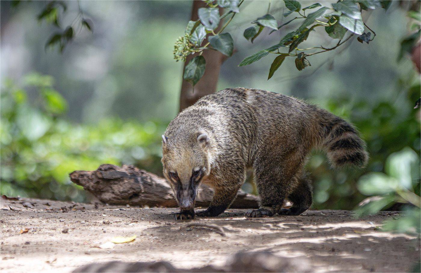 , Валентина Булкина