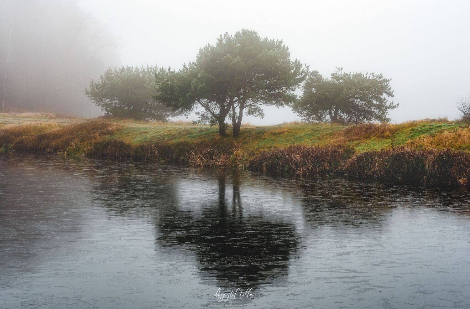 fog, Ko&scaron;ice lagoon, water, nature, morning, landscape, sky, trees, atmosphere, Nikon, reflection in the water, Krzysztof Tollas