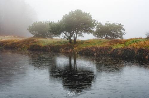 Morning fog over the Košice reservoir