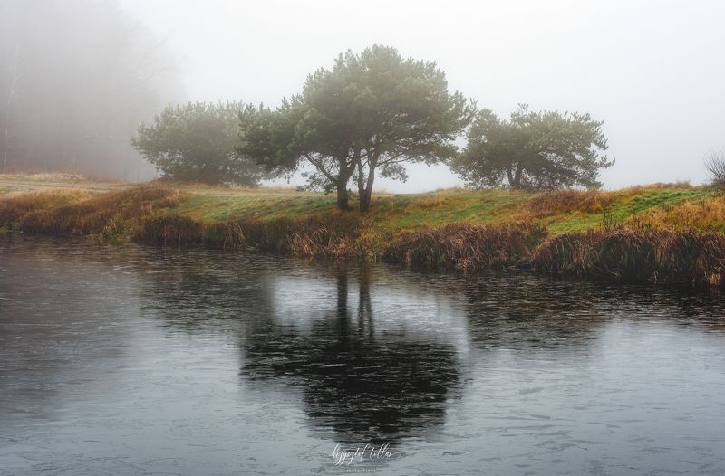 fog, Košice lagoon, water, nature, morning, landscape, sky, trees, atmosphere, Nikon, reflection in the water Morning fog over the Košice reservoir фото превью