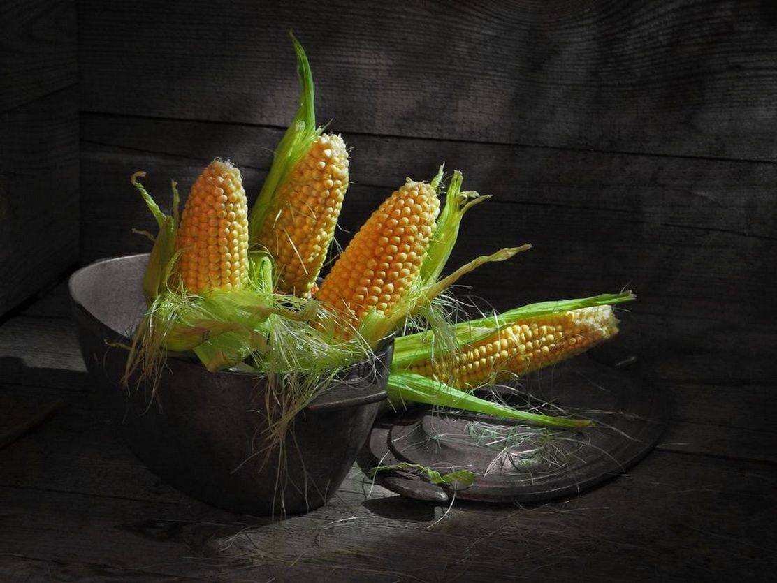 кукуруза жаровня натюрморт, Сергей Фунтовой