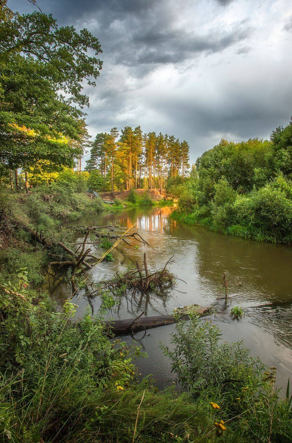 , Николай Андреев