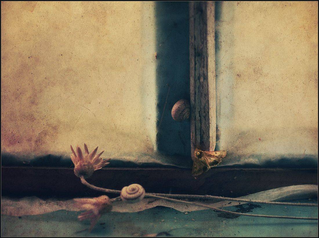 , Александр Хромеев