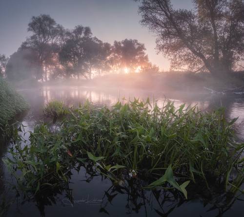 Новое утро августа...