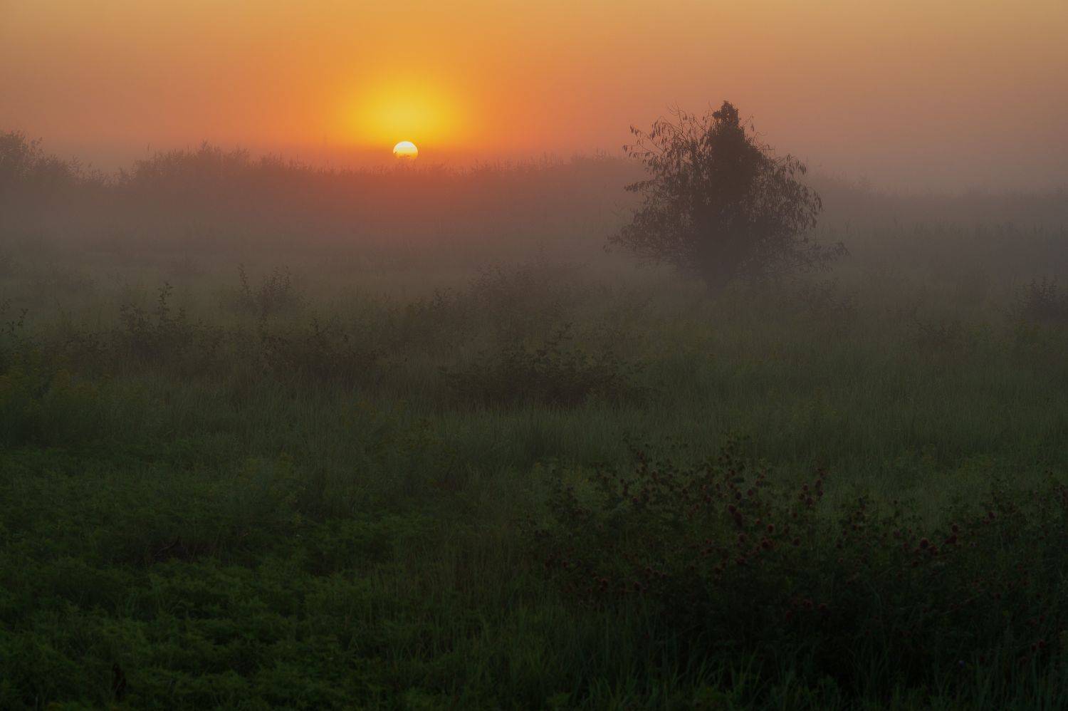 steppe sunset dawn nature fog sunlight morning landscape, Егор Бугримов