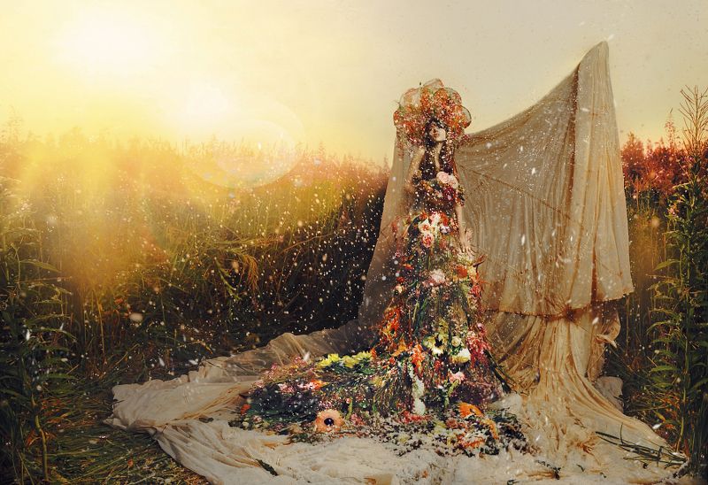 «Flowers storm»?? фото превью