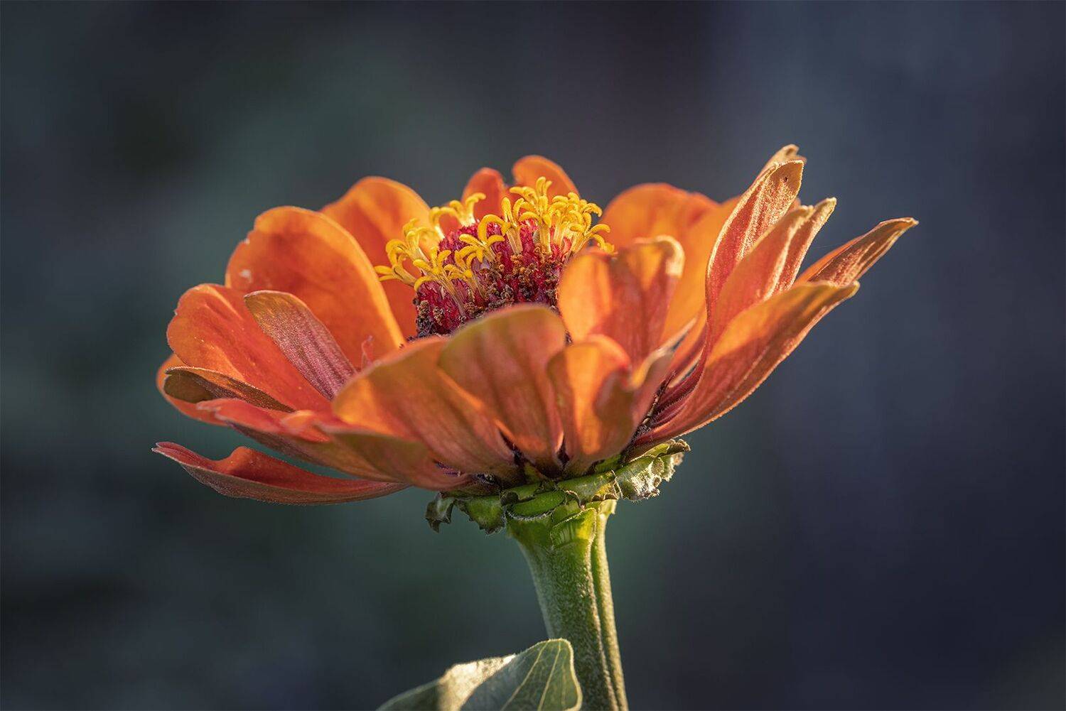 , Юрий Шурчков