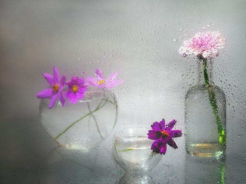 Капельно-сиреневая нежность... фото превью