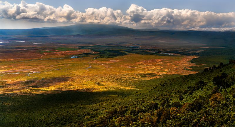 NGORONGORO фото превью