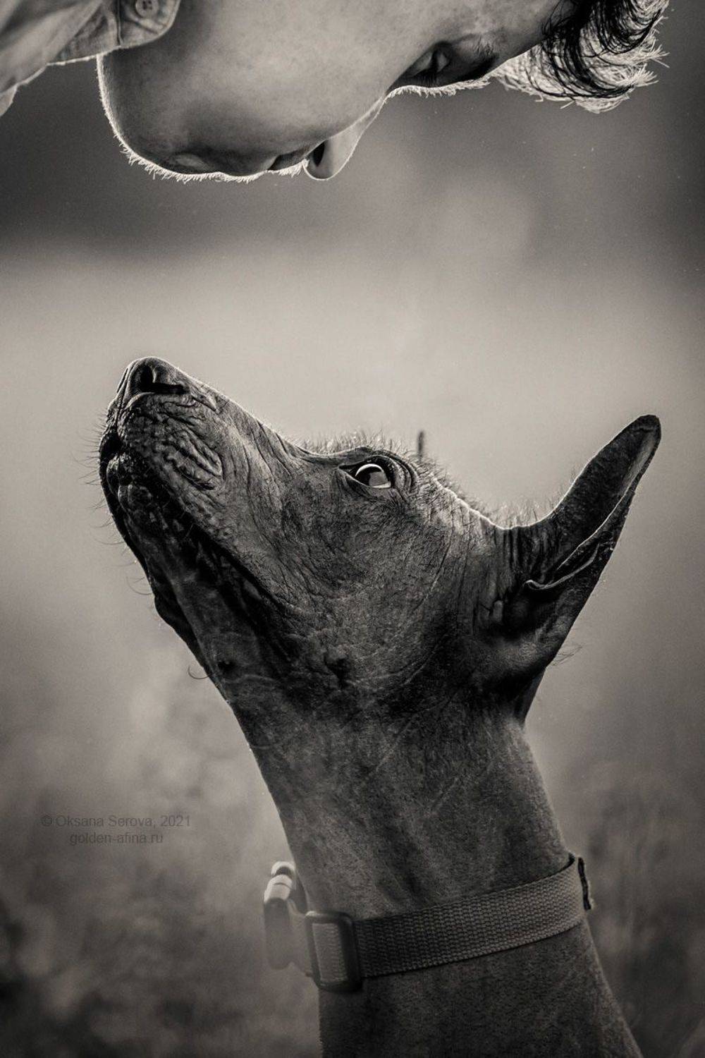 , Оксана Серова