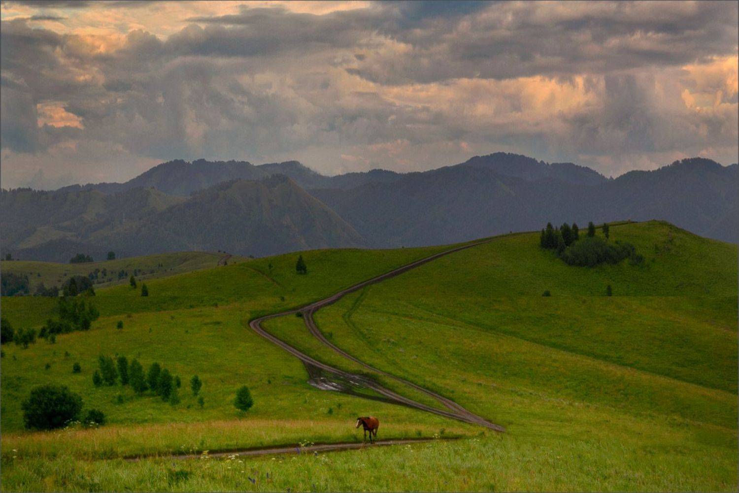 Пейзаж По дорогам Алтая Красивые места, Александр Гусаков