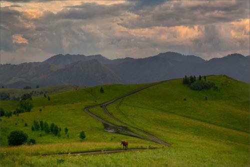 По дорогам Алтая